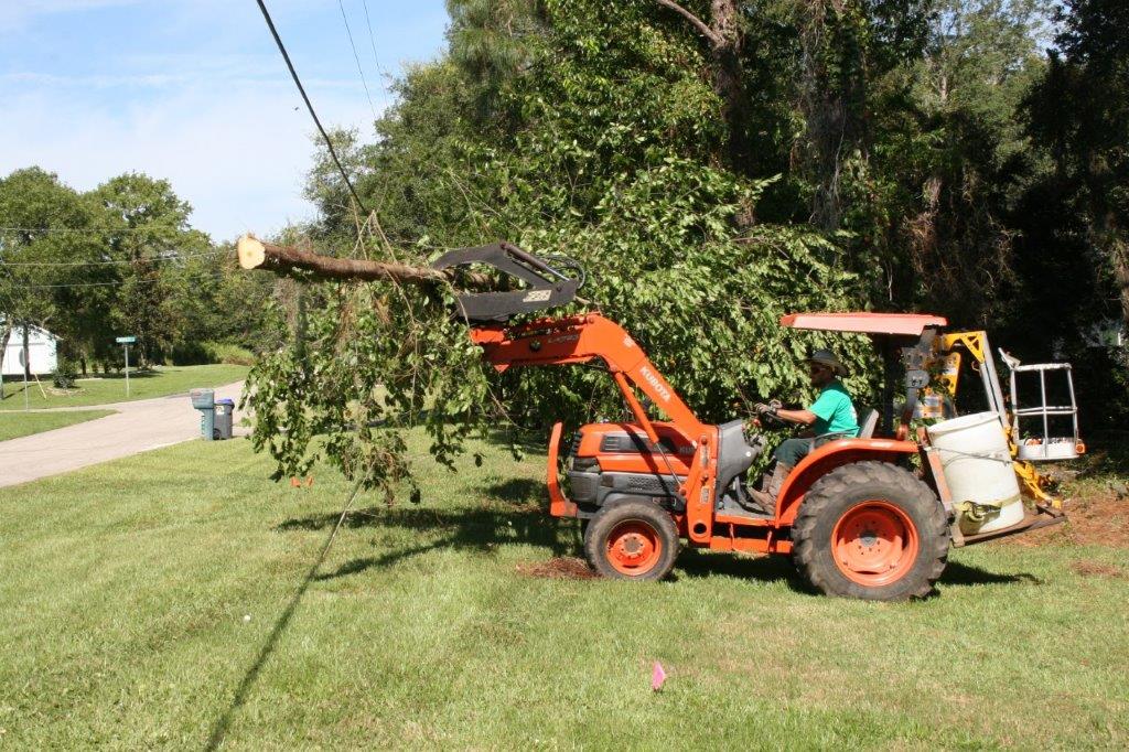 06 Hauling trees away to chipper